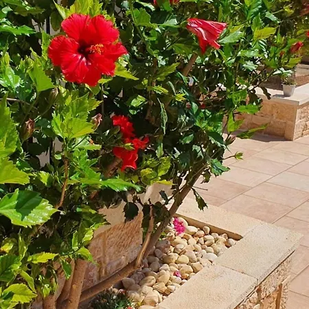 度假居 Charming 3-bed House In Tyros *